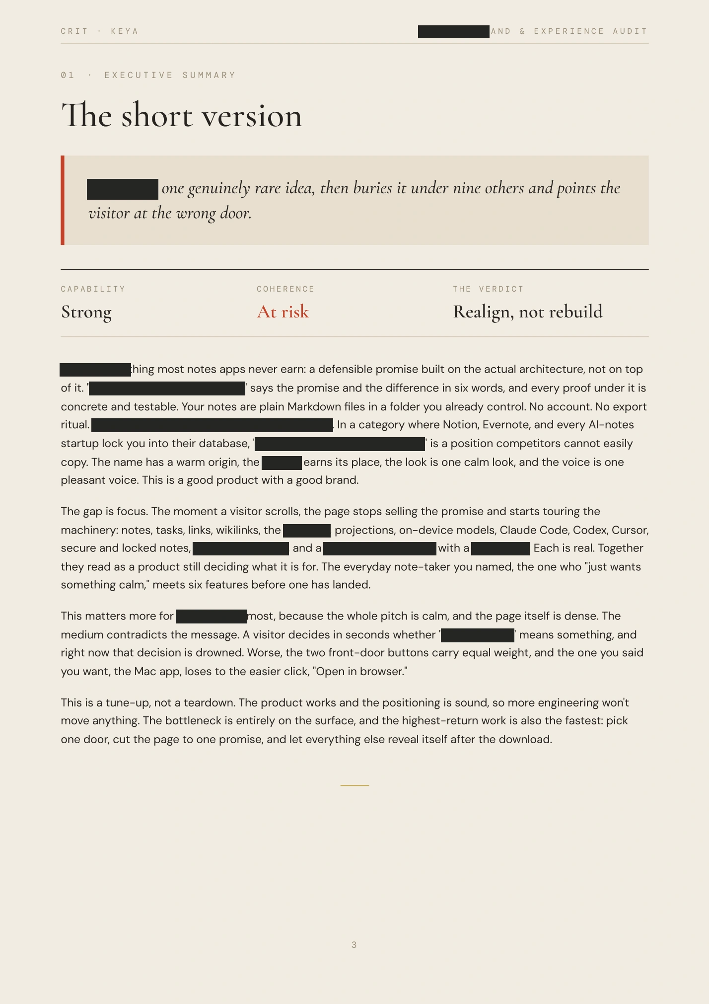 Redacted audit, page 3 of 21
