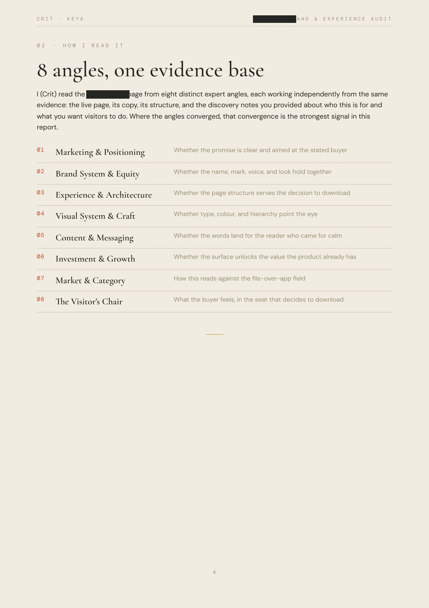 Redacted audit, page 4 of 21