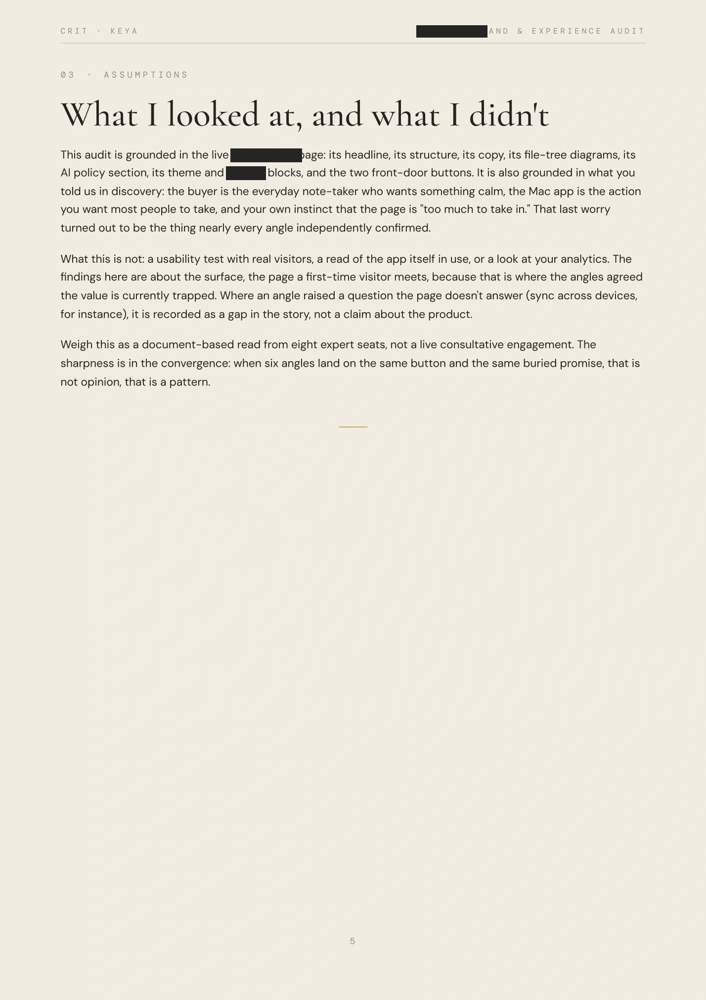 Redacted audit, page 5 of 21